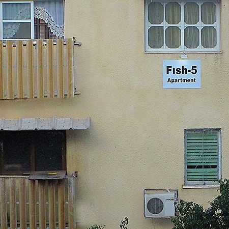 Fish 5 Apartment Tiberias Værelse billede