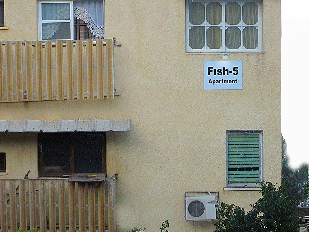 Fish 5 Apartment Tiberias Værelse billede